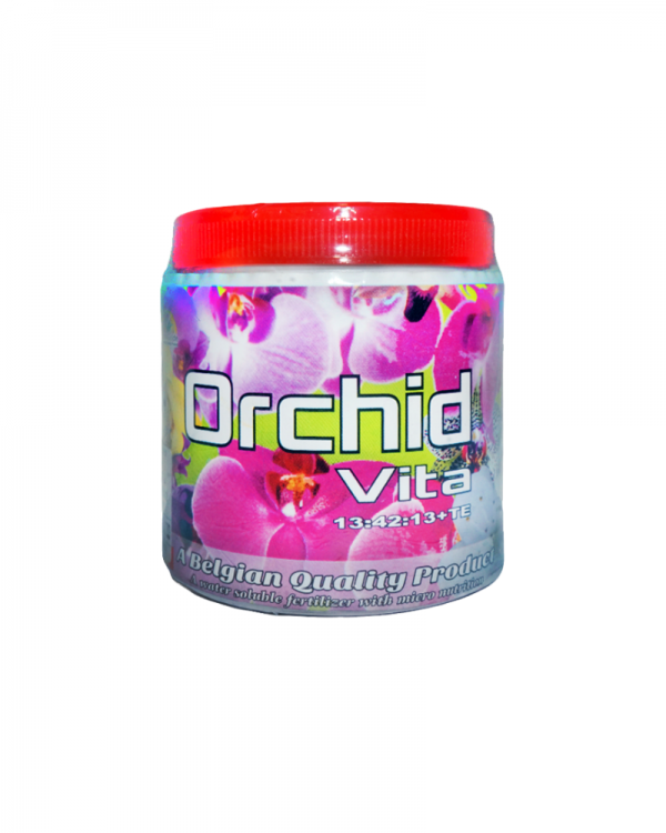 Orchid Vita (13:42:13+TE)