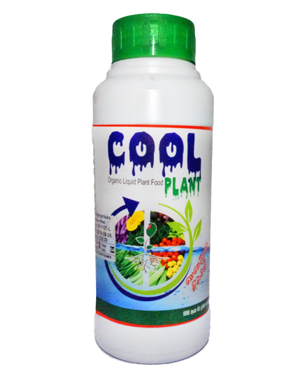 Cool Plant
