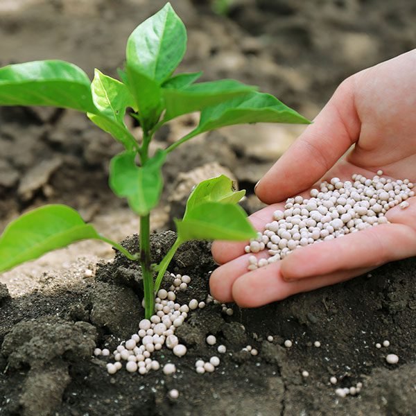 Fertilizers
